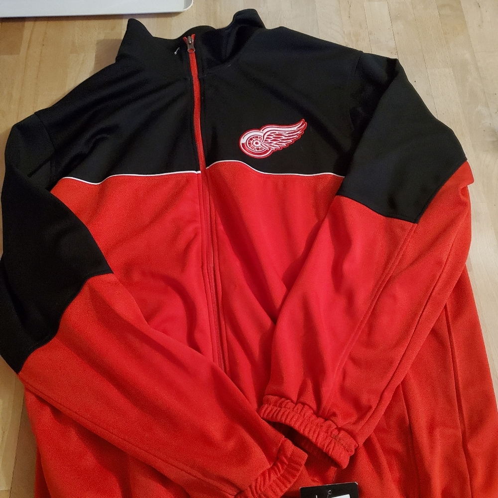 Detroit red wings